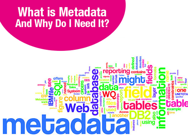 【徹底解説】メタデータとは何か? なぜ必要なのか?